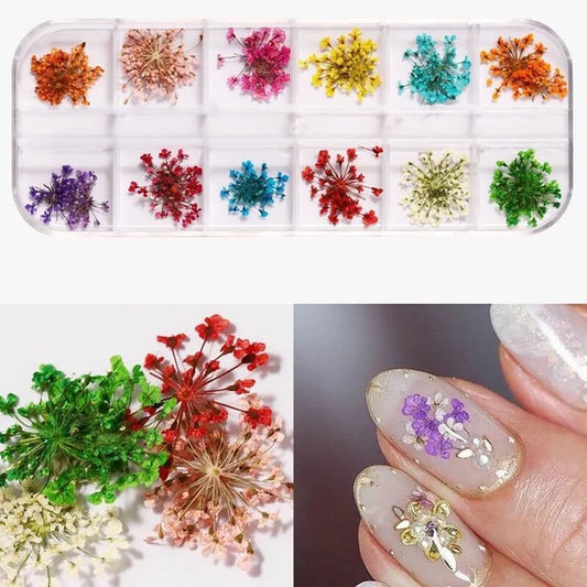 Vibrant Dried Flowers for Stunning Nail Art – Elevate Your Manicure