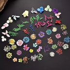 Vibrant Dried Flowers for Stunning Nail Art – Elevate Your Manicure