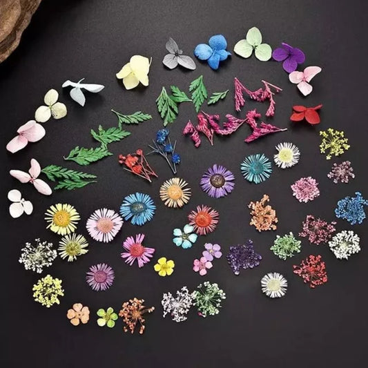 Vibrant Dried Flowers for Stunning Nail Art – Elevate Your Manicure