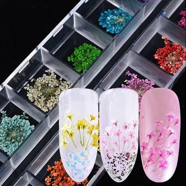 Vibrant Dried Flowers for Stunning Nail Art – Elevate Your Manicure