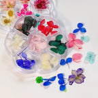 Vibrant Dried Flowers for Stunning Nail Art – Elevate Your Manicure