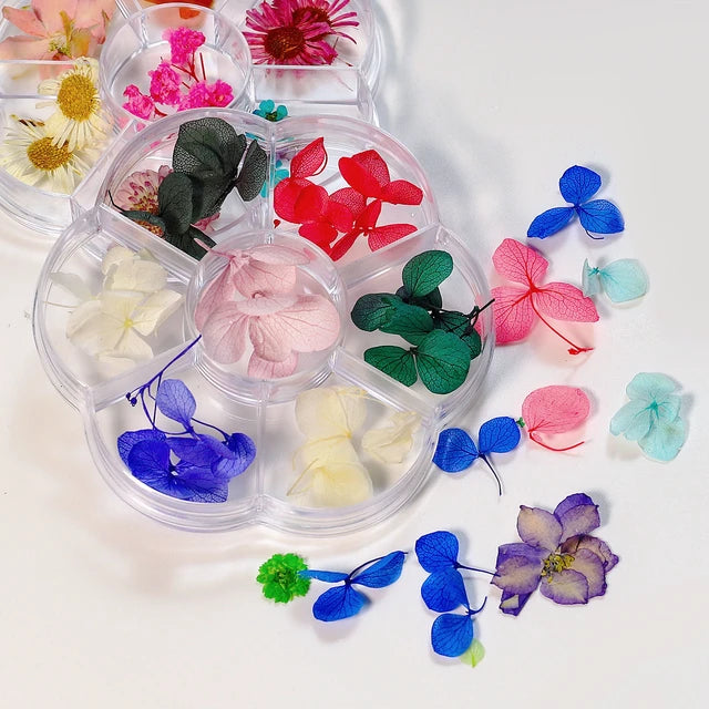 Vibrant Dried Flowers for Stunning Nail Art – Elevate Your Manicure