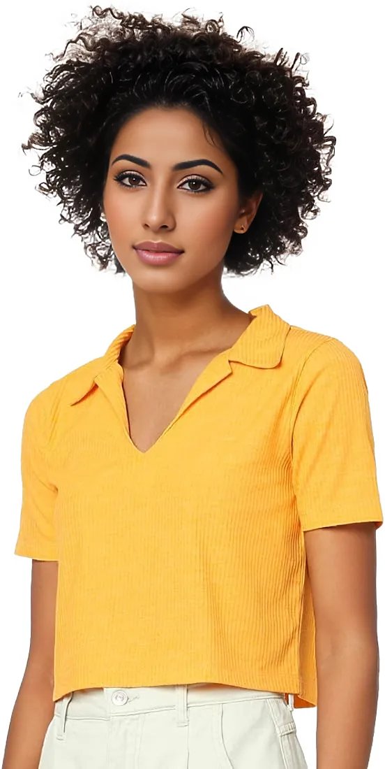 Ribbed Knitted Solid Crop Top XD21