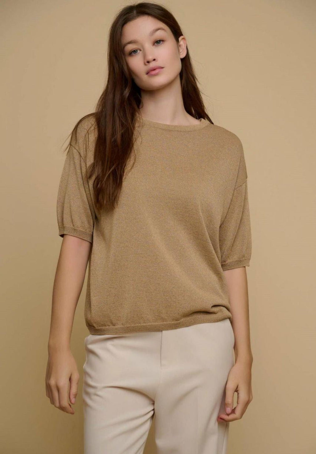 Sheer Loose Short Sleeve Top XD21