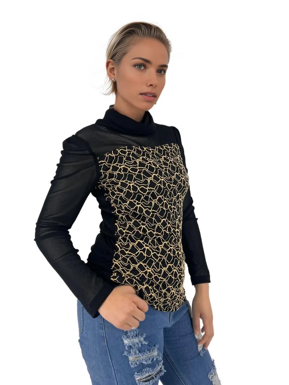 Sheer Pattern Turtle Neck Top XD21