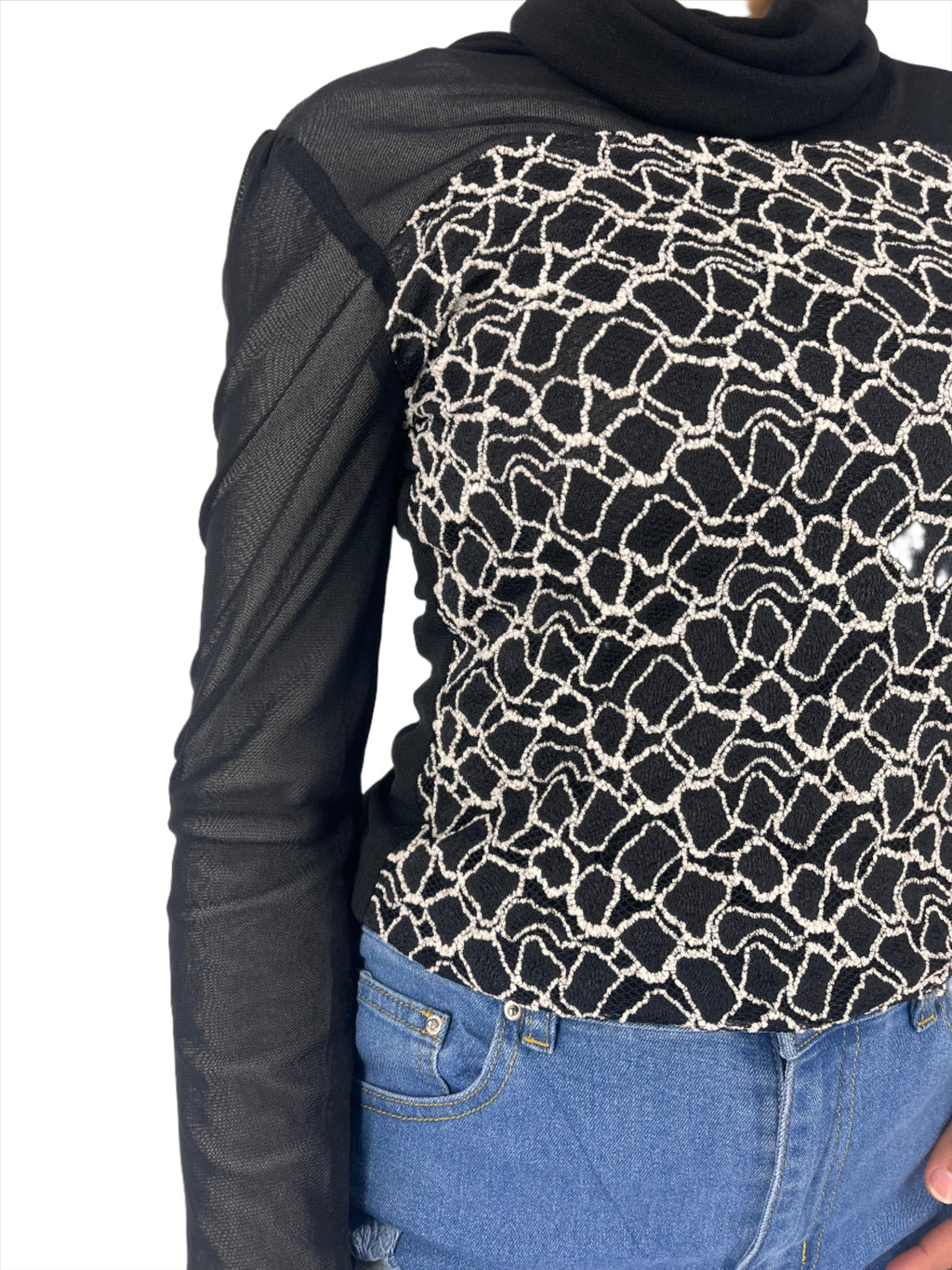 Sheer Pattern Turtle Neck Top XD21
