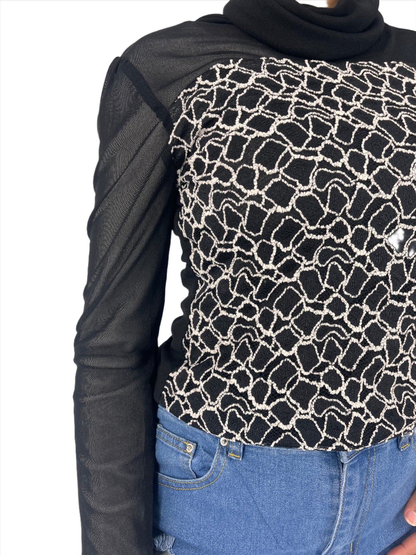 Sheer Pattern Turtle Neck Top XD21