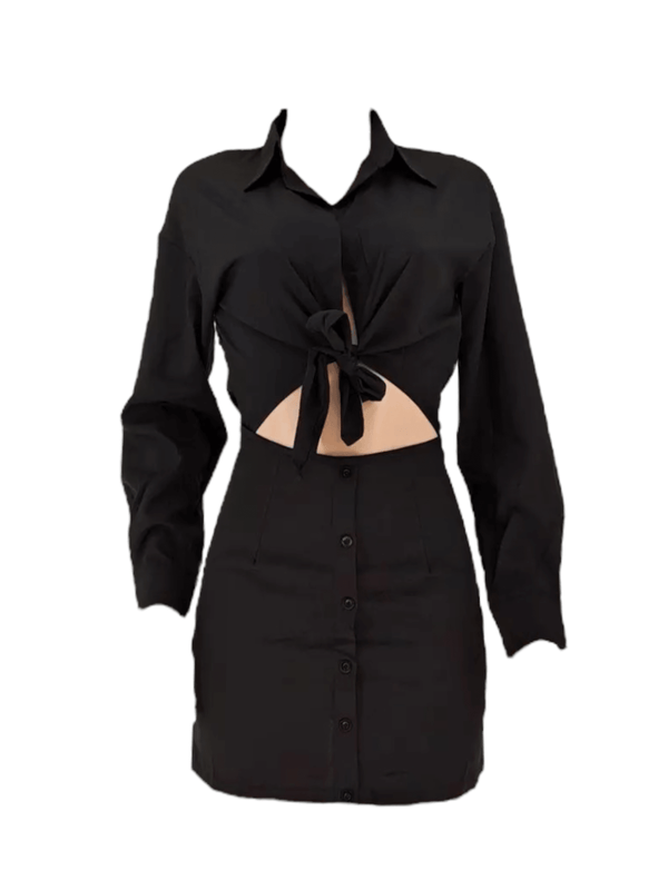 Turn-down Collar Blouse Mini 2pc Set