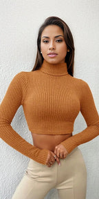 Turtle Neck Ribbed Knitted Jersey XD21