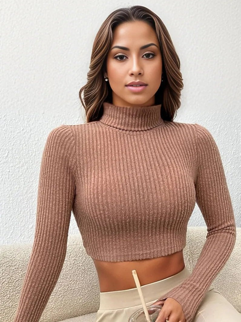 Turtle Neck Ribbed Knitted Jersey XD21