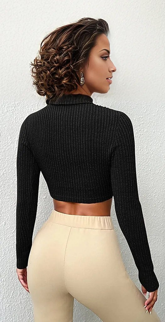 Turtle Neck Ribbed Knitted Jersey XD21