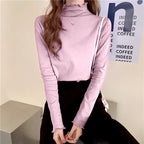 Velvet Like Turtle neck Frill Top XD21