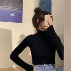 Velvet Like Turtle neck Frill Top XD21