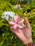 Gold edged Pointed Petal Flower Claw Clip 1pc