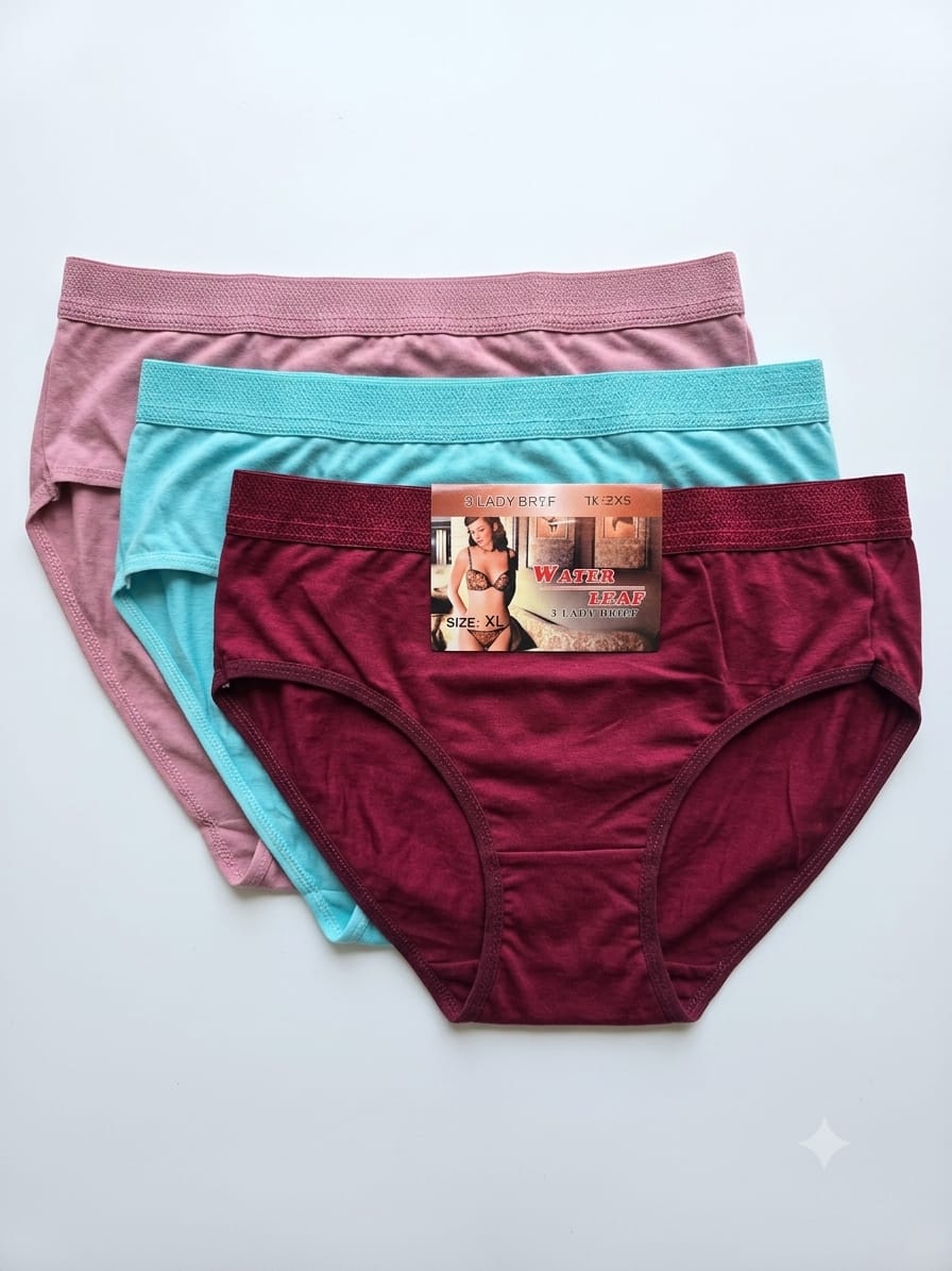Women’s High-Waisted 3-piece Brief Panties