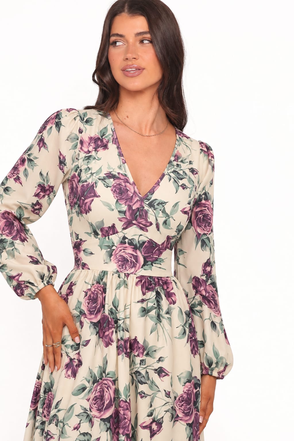Rose Print V-Neck Collar Maxi Dress