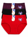 Ribbed Brief Panty 2pcs