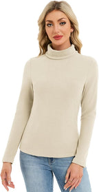 Long-Sleeve Ribbed Turtleneck Sweater